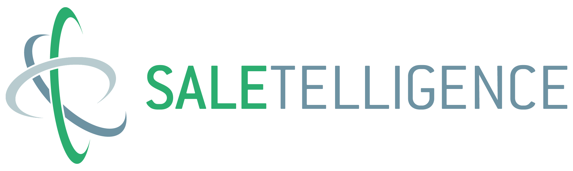 saletelligence - systematische vertriebsplanung